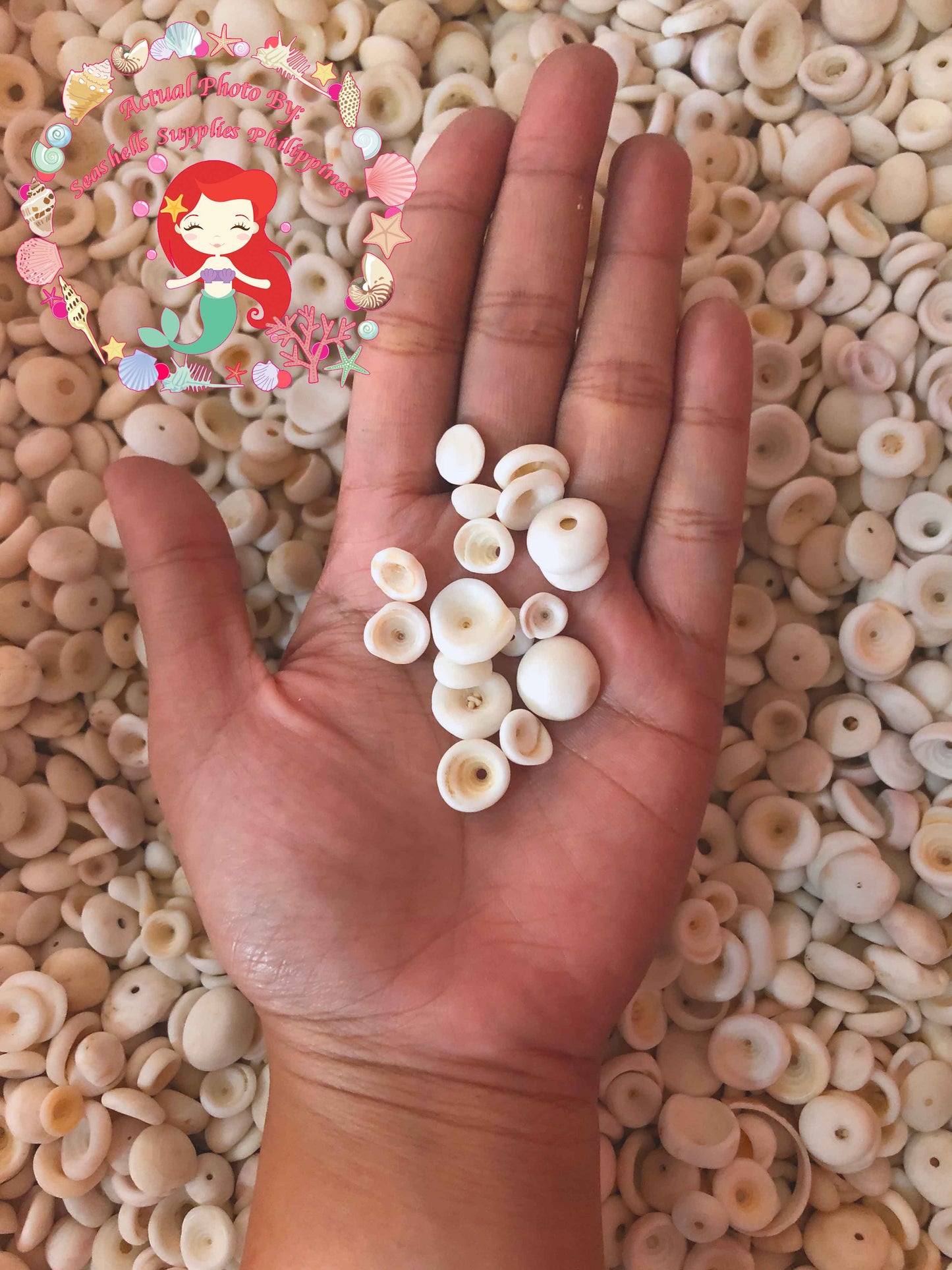 1 Kilo | Puka Shell Sea Shells | Small | 0.5 - 1 cm